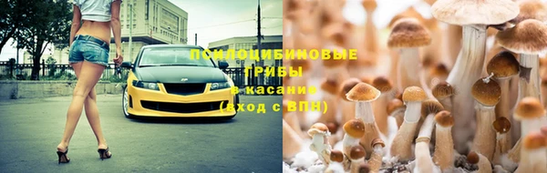 мяу мяу мука Заводоуковск