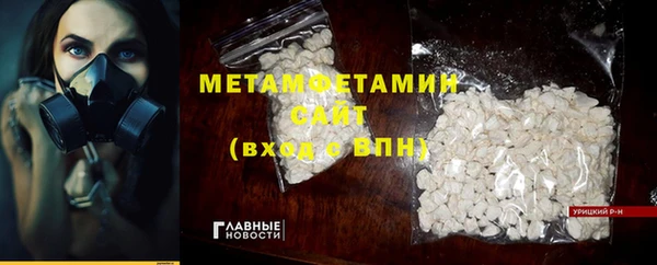 шишки Ельня