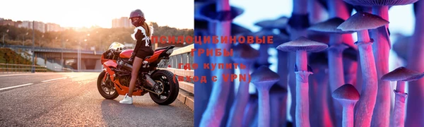крисы Дмитров
