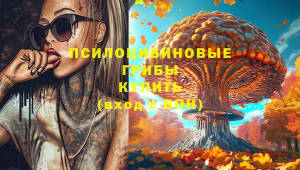 амф Дмитриев