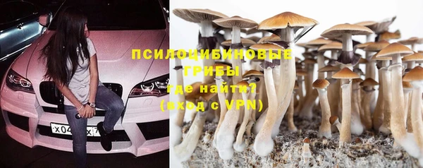 амф Дмитриев