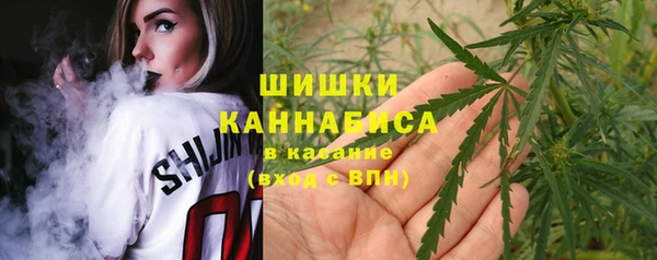 амф Дмитриев