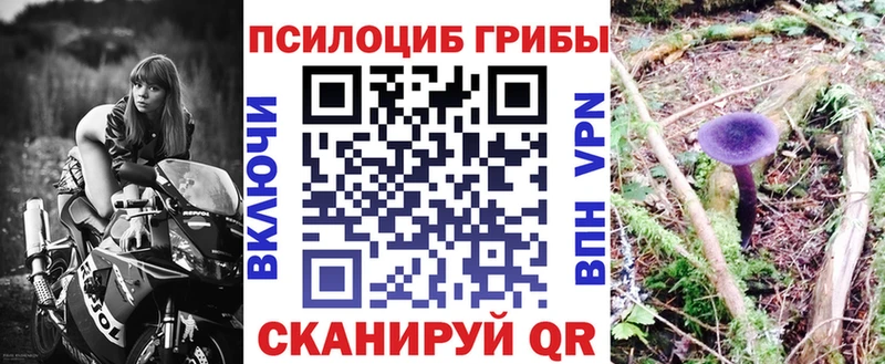Псилоцибиновые грибы GOLDEN TEACHER  Купить где  Новотроицк 