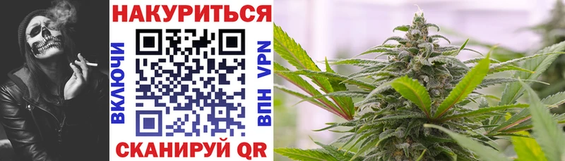 Купить  Новотроицк  Конопля VHQ 